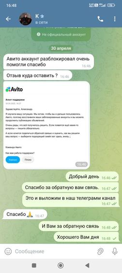 Скриншот обращения клиента по разблокировке профиля Авито — 1
