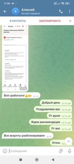 Скриншот переписки с клиентом по восстановлению доступа к Авито — 3